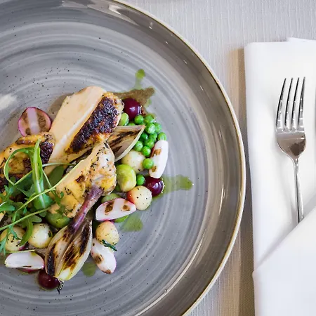 Desilva Premium 4* פוזנן