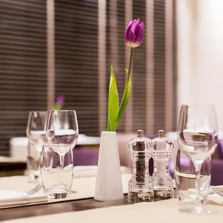 Desilva Premium Otel Poznan